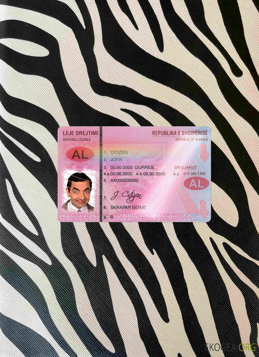 Albanie DL (2005 2015) photolook AVANT